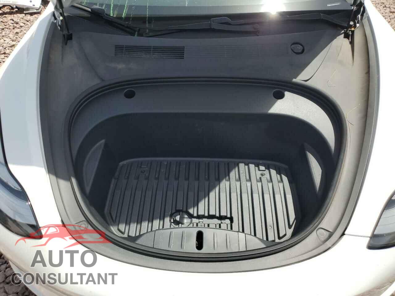 TESLA MODEL 3 2020 - 5YJ3E1EB1LF808233