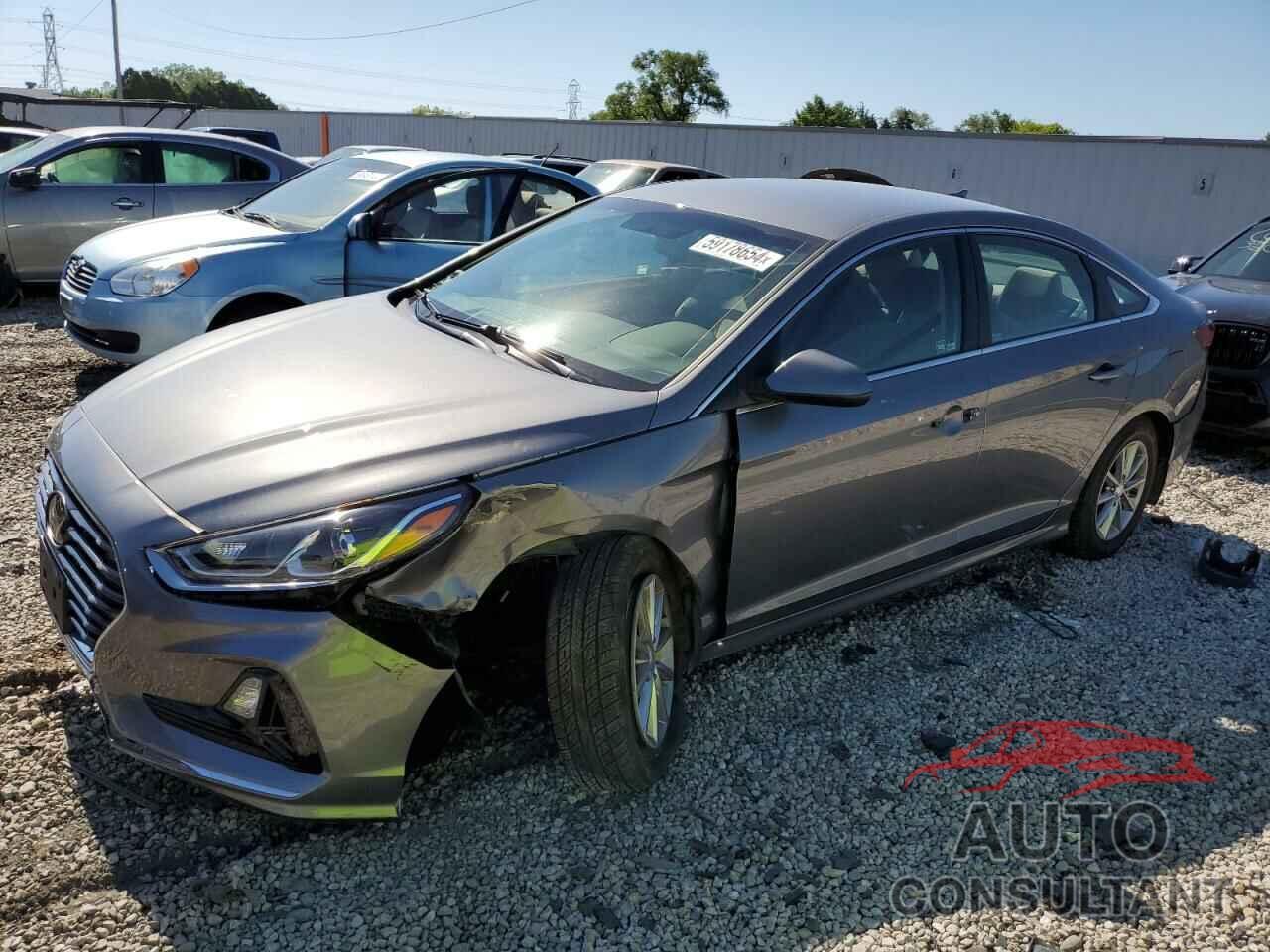 HYUNDAI SONATA 2019 - 5NPE24AF0KH739384