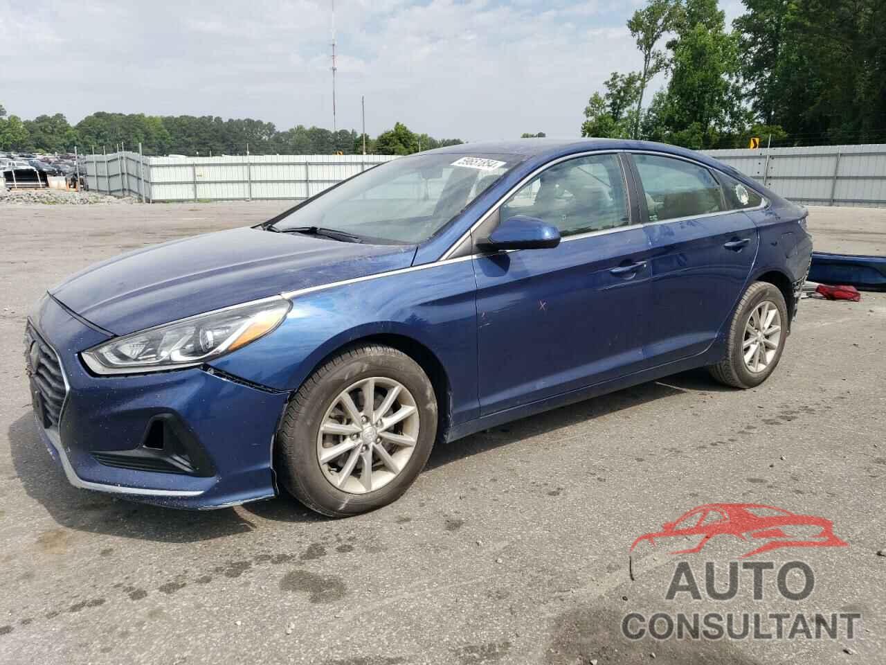 HYUNDAI SONATA 2019 - 5NPE24AF3KH790894