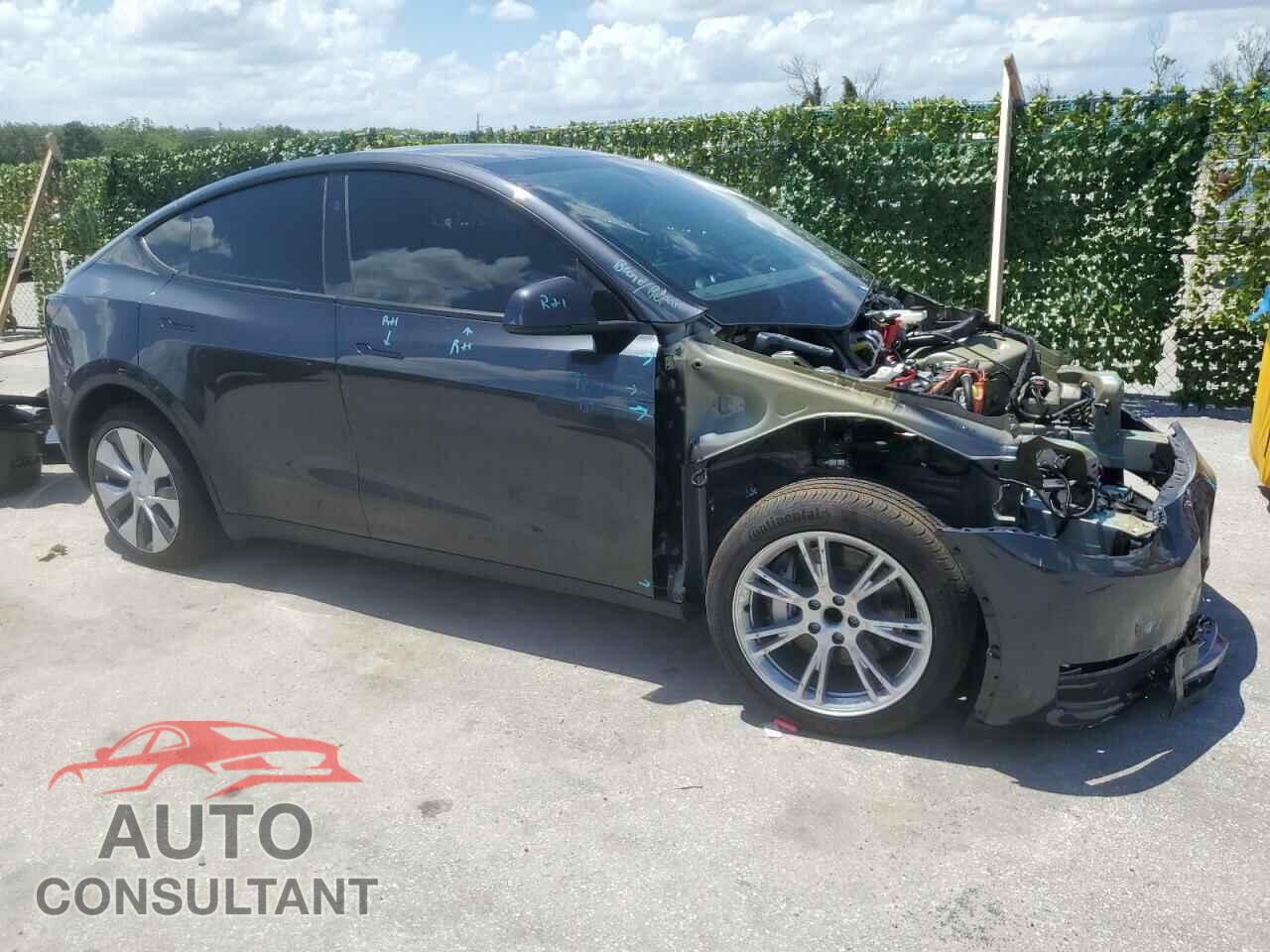 TESLA MODEL Y 2024 - 7SAYGDED1RF041840