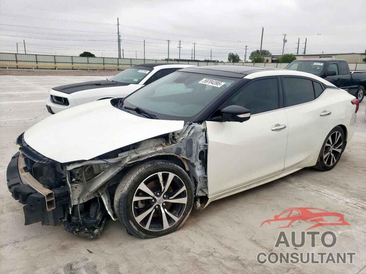 NISSAN MAXIMA 2016 - 1N4AA6AP9GC422928