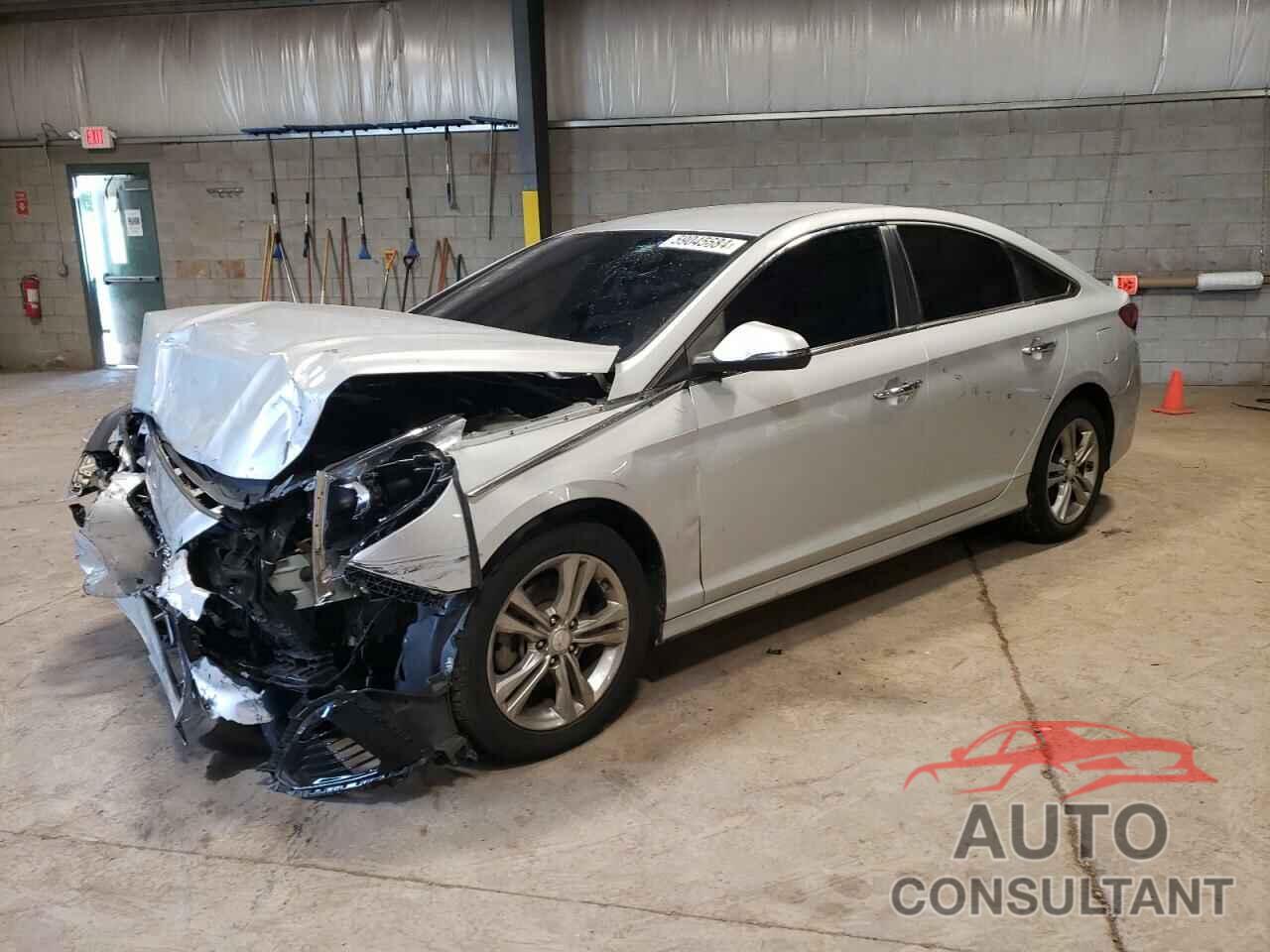 HYUNDAI SONATA 2019 - 5NPE34AF1KH786663