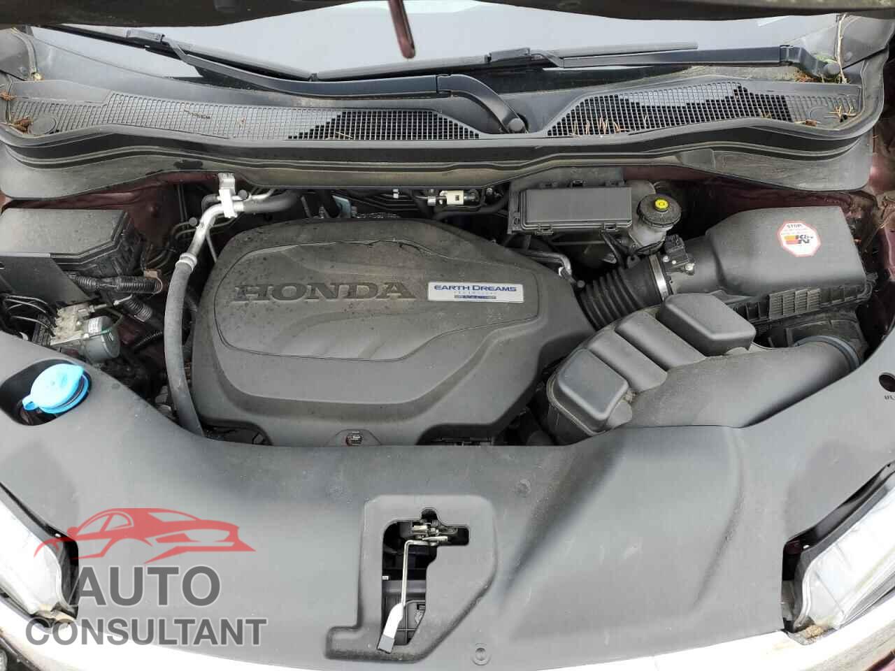 HONDA RIDGELINE 2019 - 5FPYK3F72KB008440
