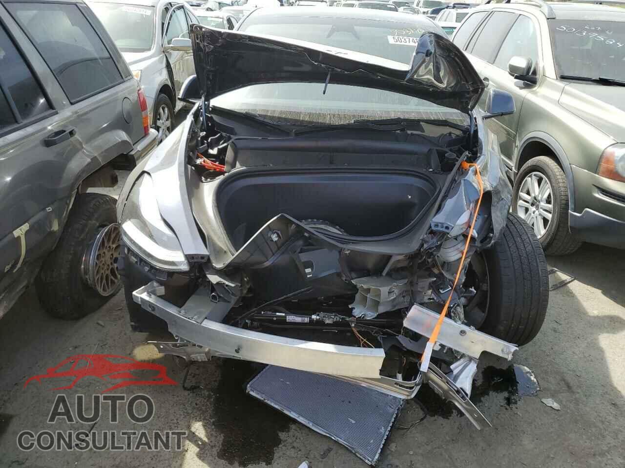 TESLA MODEL Y 2023 - 7SAYGAEE2PF896731
