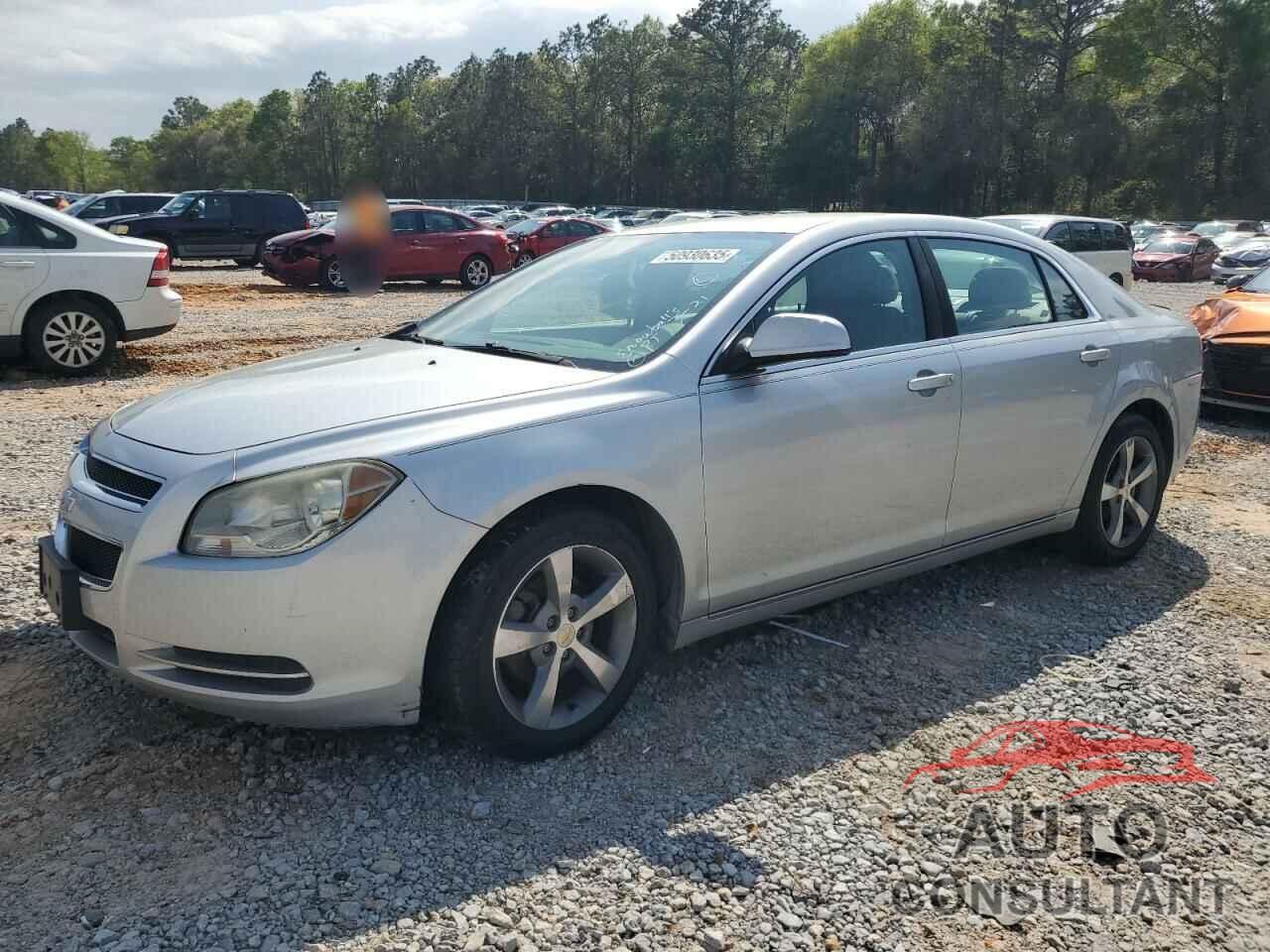 CHEVROLET MALIBU 2011 - 1G1ZC5EU5BF130596
