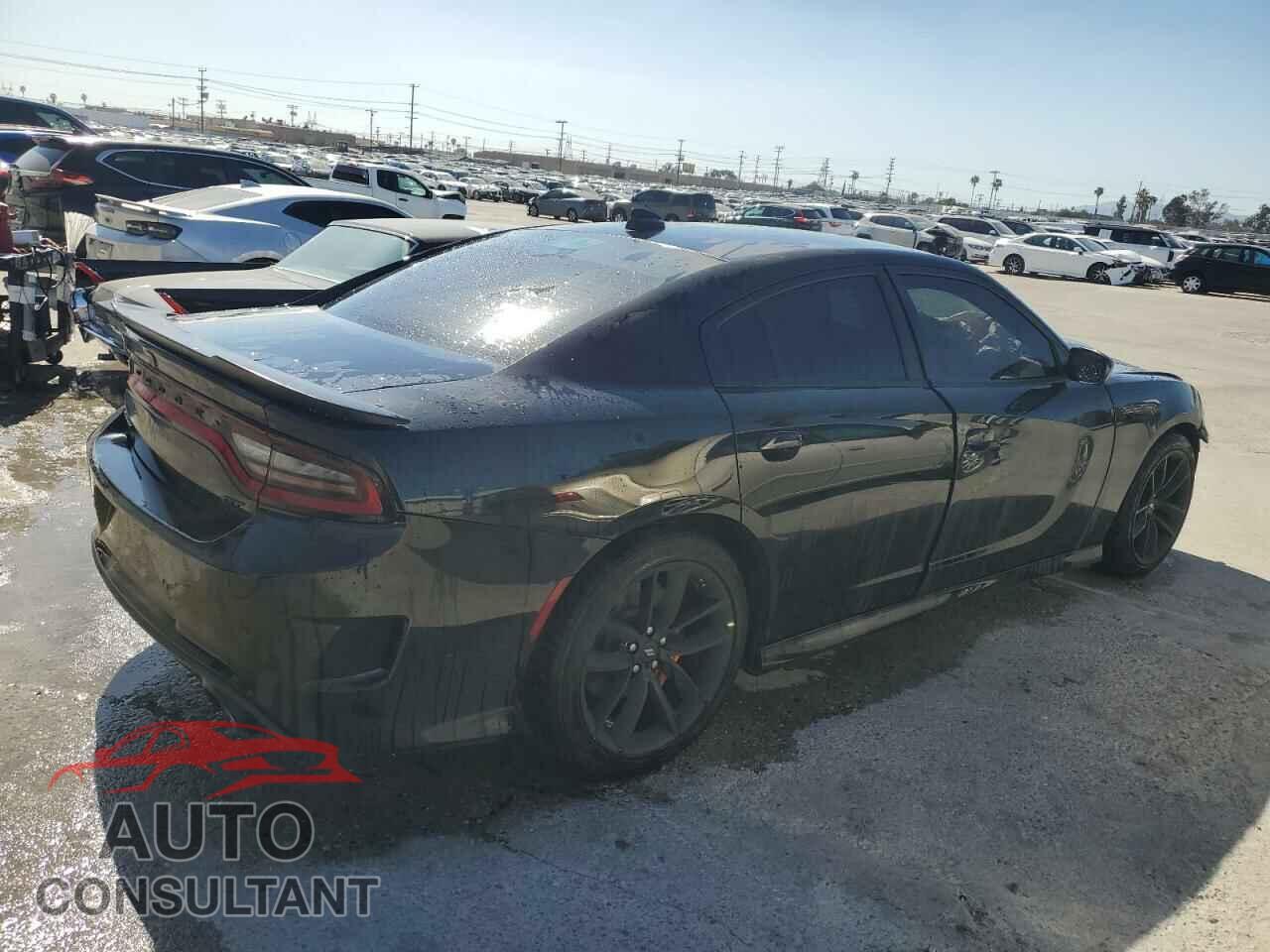 DODGE CHARGER 2023 - 2C3CDXHG3PH551111