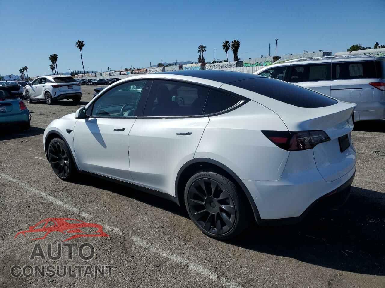 TESLA MODEL Y 2020 - 5YJYGDEE3LF029718