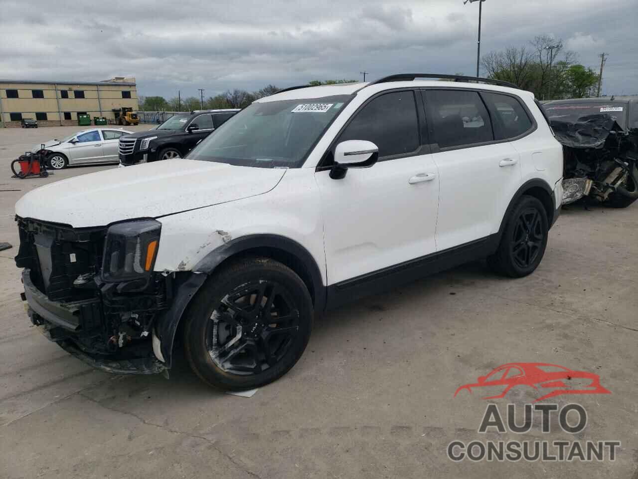 KIA TELLURIDE 2024 - 5XYP5DGC0RG489904