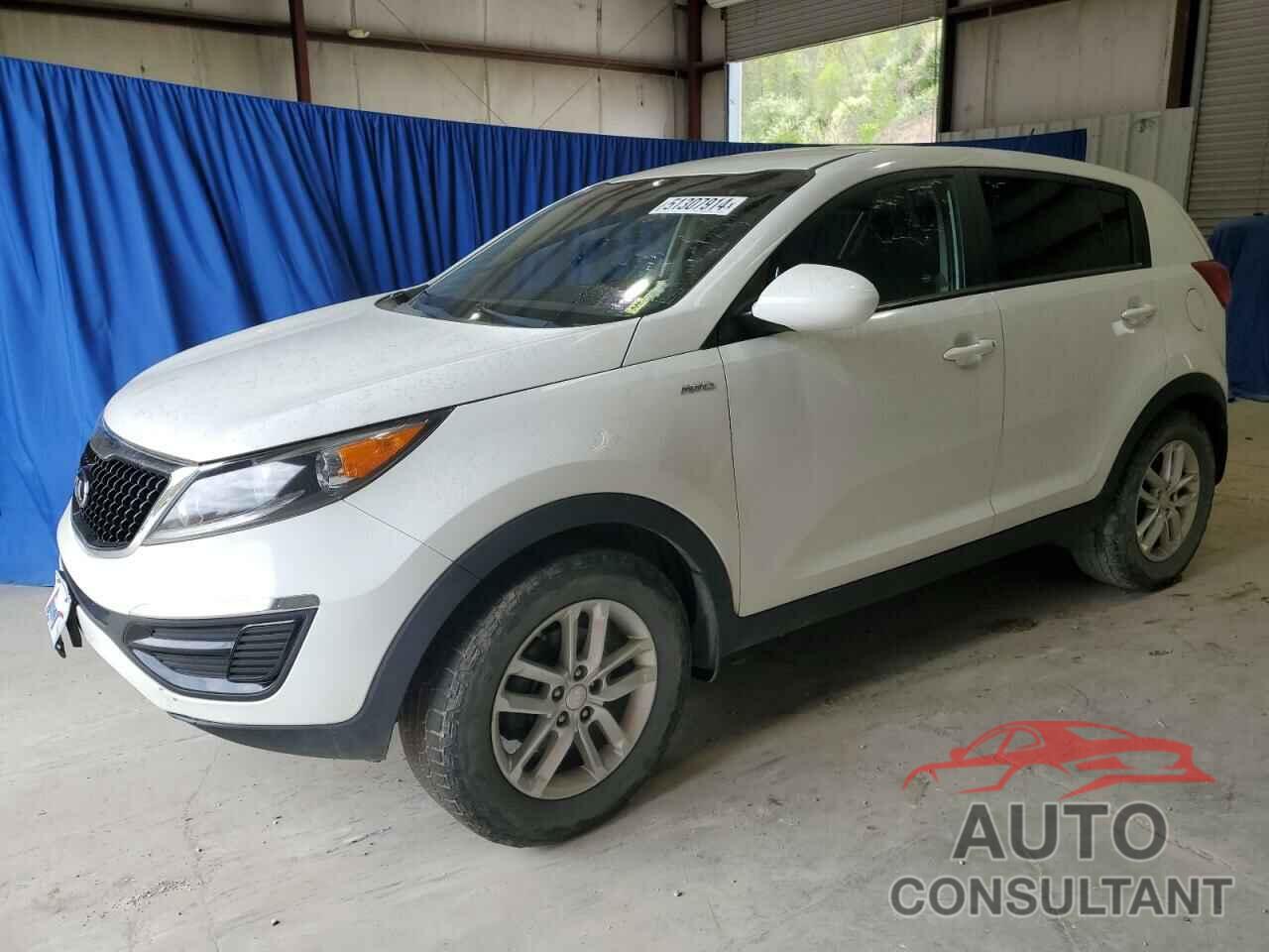 KIA SPORTAGE 2016 - KNDPBCAC8G7862158