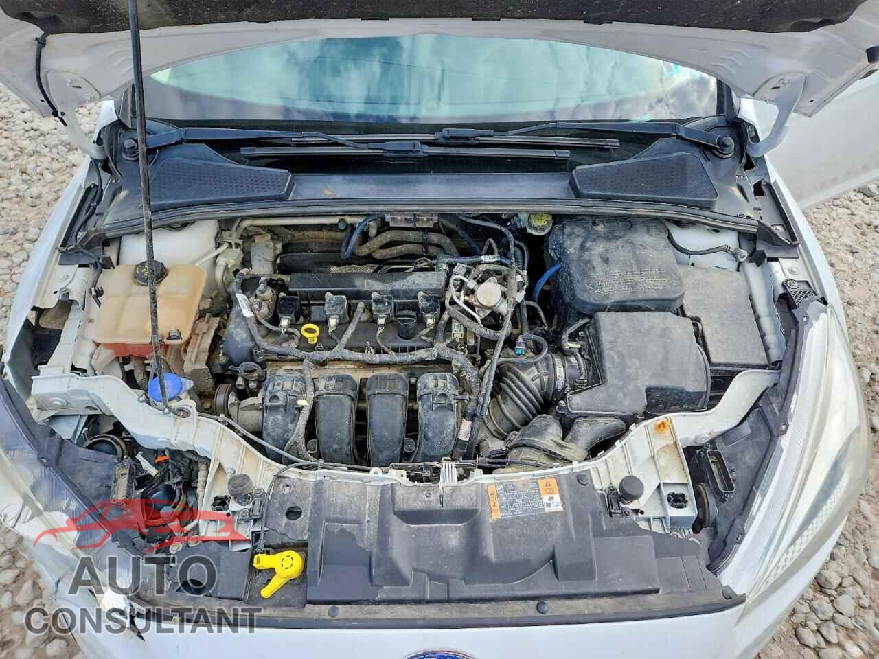 FORD FOCUS 2016 - 1FADP3F20GL336009