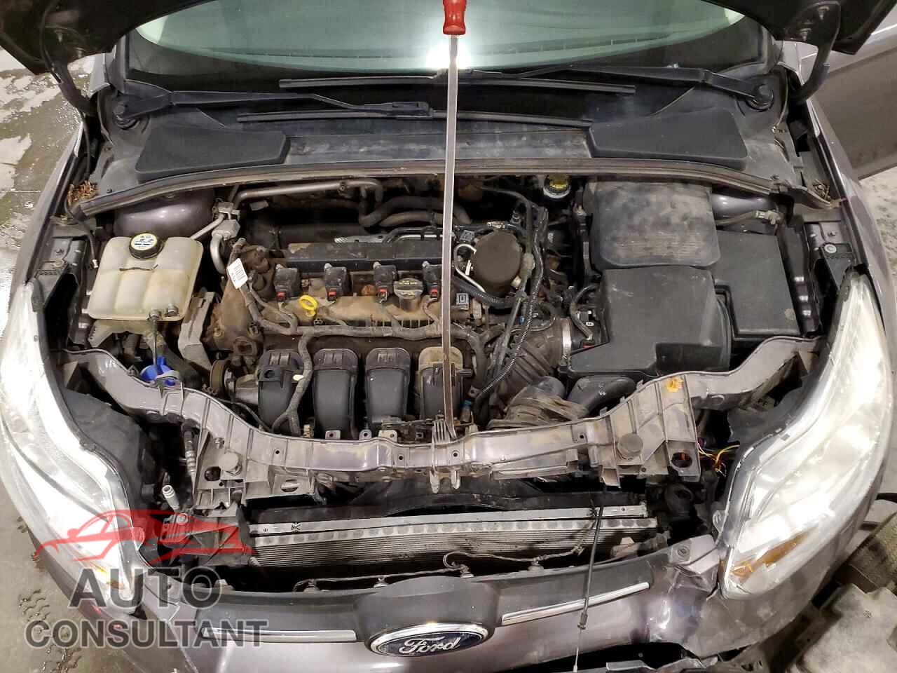 FORD FOCUS 2013 - 1FADP3F26DL263675