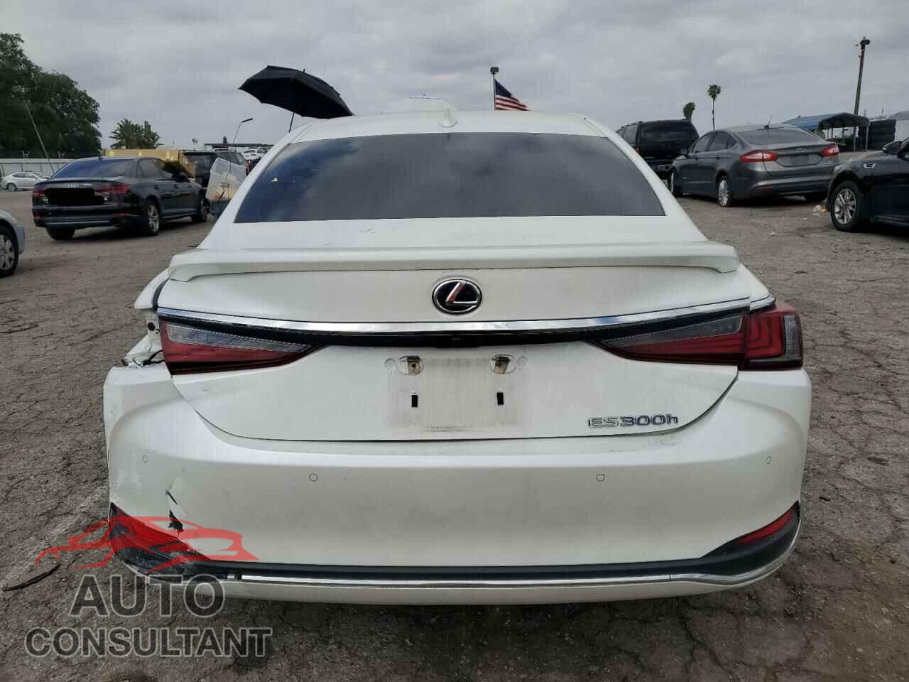 LEXUS ES300 2022 - 58ADA1C19NU013570