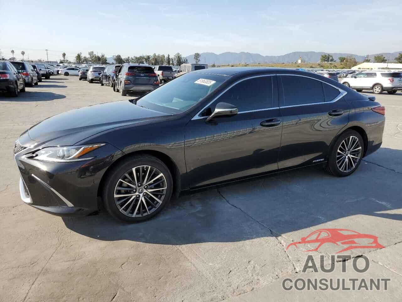 LEXUS ES300 2022 - 58ADA1C10NU018236