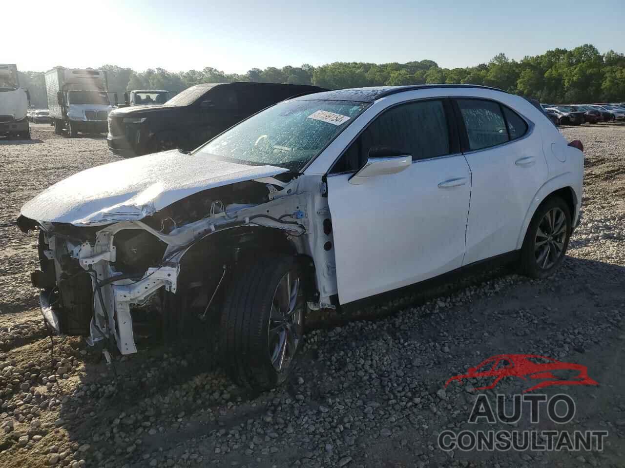 LEXUS UX 250H PR 2024 - JTHR6JBH1R2187361