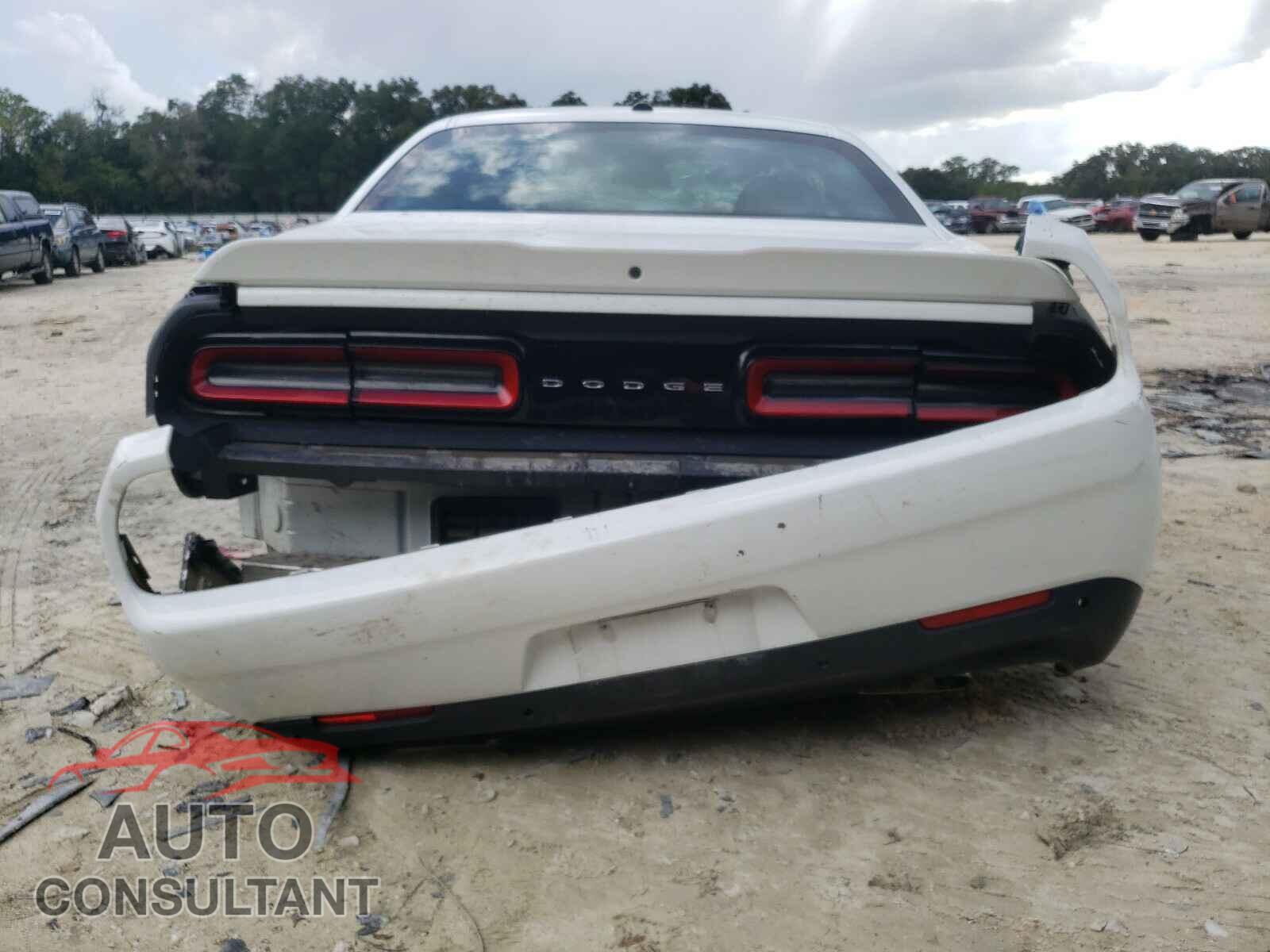 DODGE CHALLENGER 2019 - 2C3CDZBT3KH593689