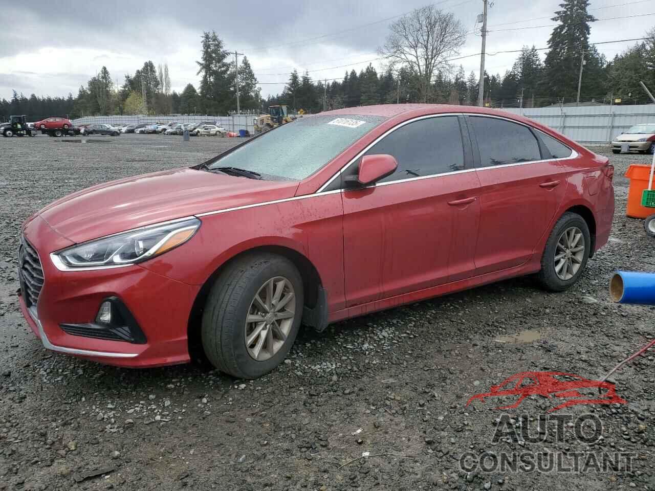 HYUNDAI SONATA 2019 - 5NPE24AF1KH815467