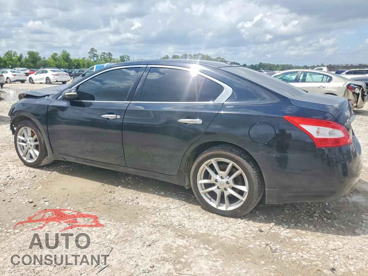 NISSAN MAXIMA 2011 - 1N4AA5APXBC864023