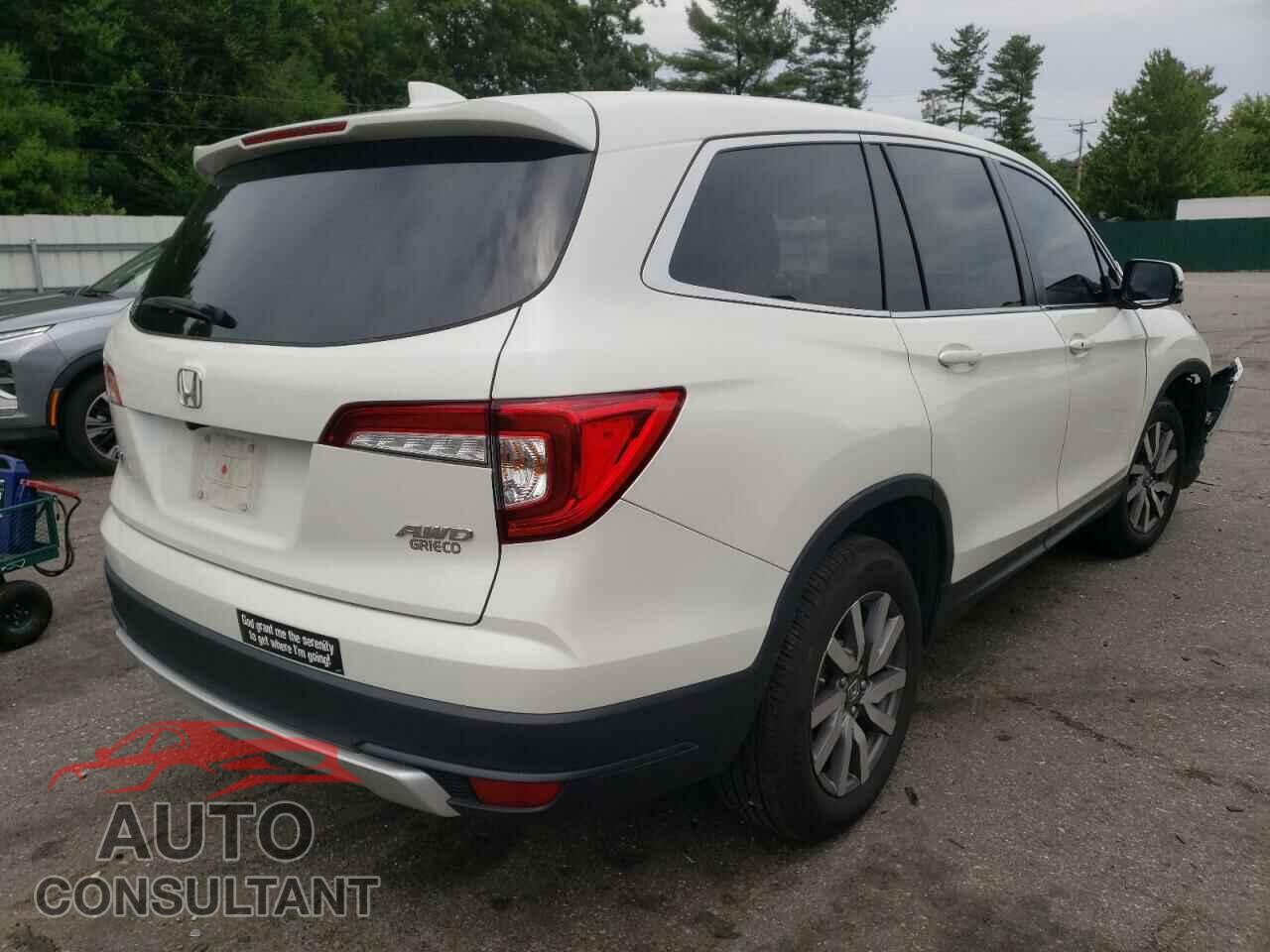 HONDA PILOT 2019 - 5FNYF6H59KB064644