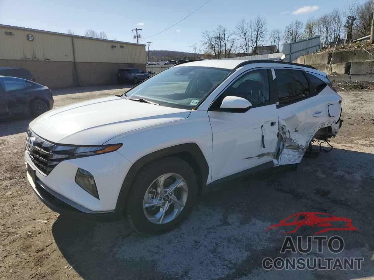 HYUNDAI TUCSON 2024 - 5NMJBCDE7RH303750