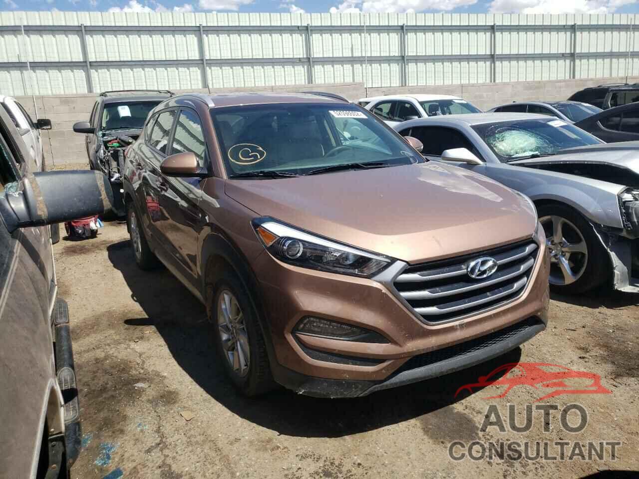HYUNDAI TUCSON 2017 - KM8J3CA43HU317334