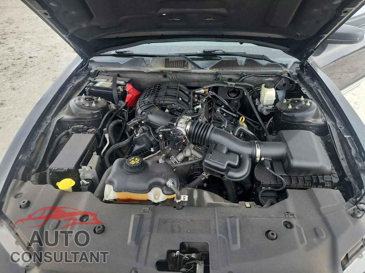 FORD MUSTANG 2013 - 1ZVBP8AM8D5254856