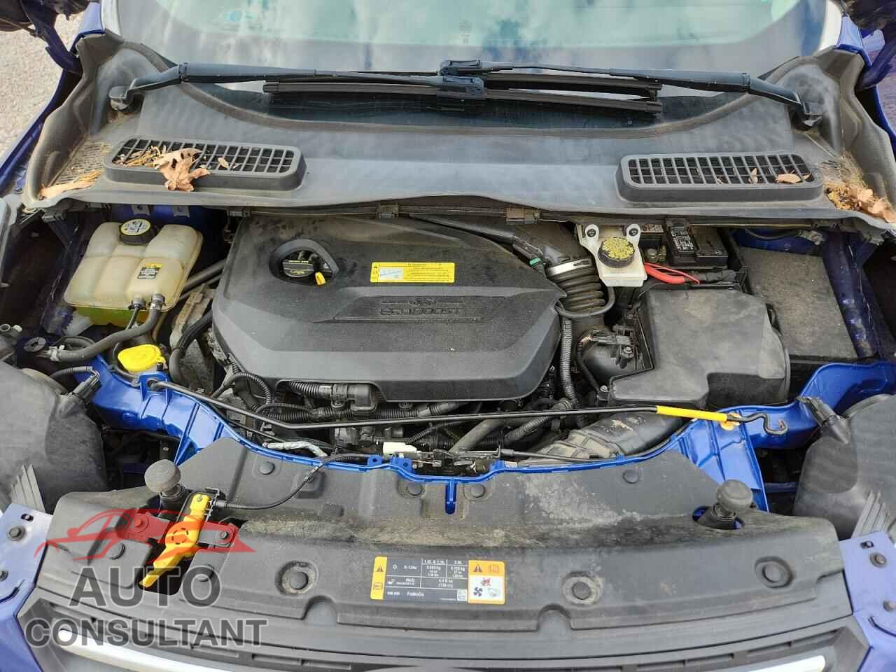 FORD ESCAPE 2013 - 1FMCU0GX8DUD33285