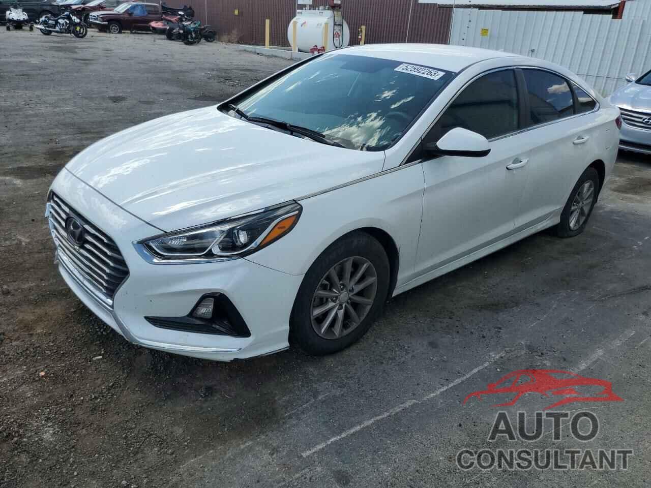 HYUNDAI SONATA 2018 - 5NPE24AF7JH653326