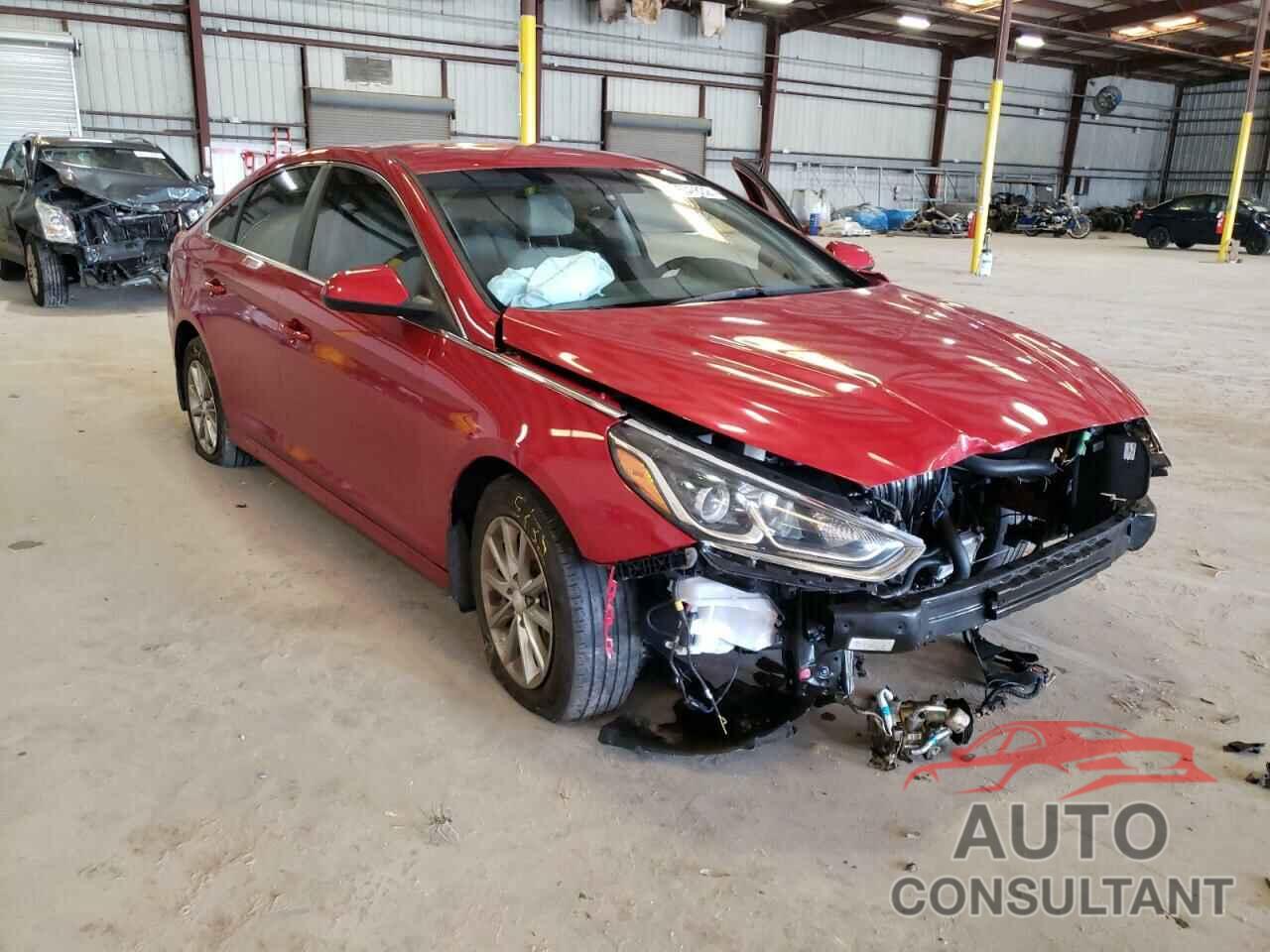 HYUNDAI SONATA 2019 - 5NPE24AF9KH794898