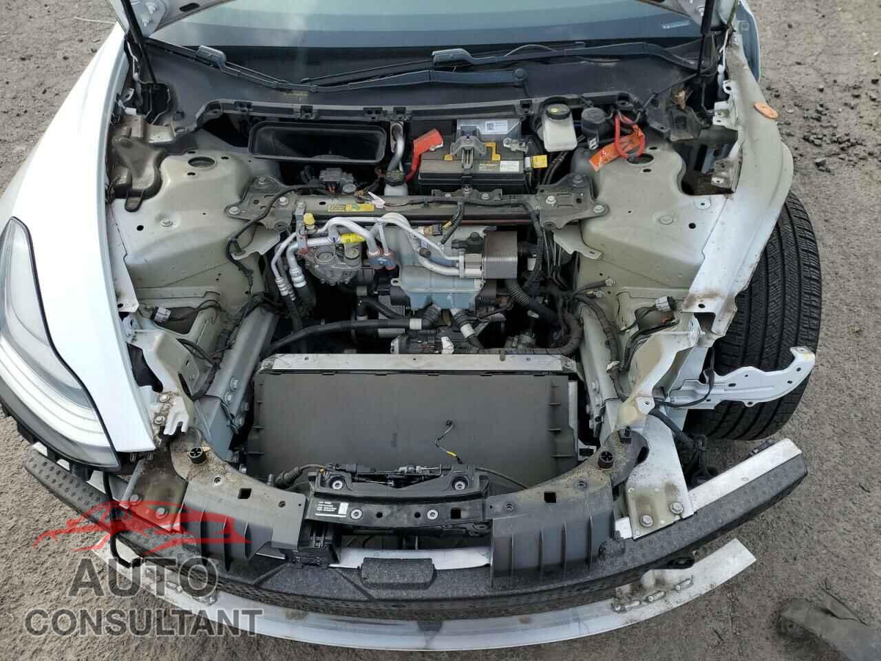 TESLA MODEL 3 2019 - 5YJ3E1EBXKF487064
