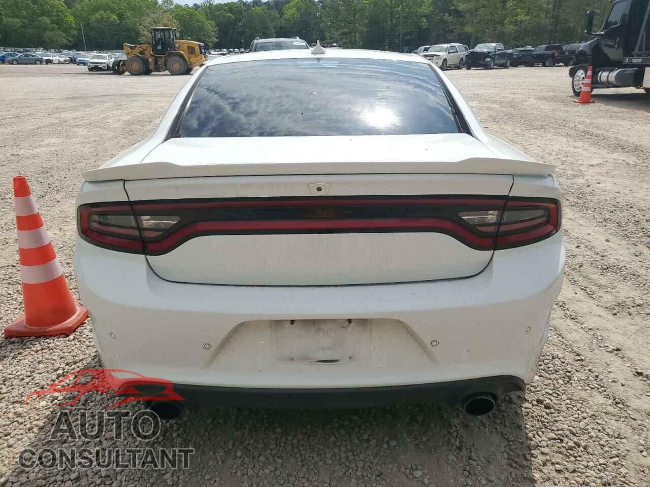 DODGE CHARGER 2019 - 2C3CDXCTXKH608398