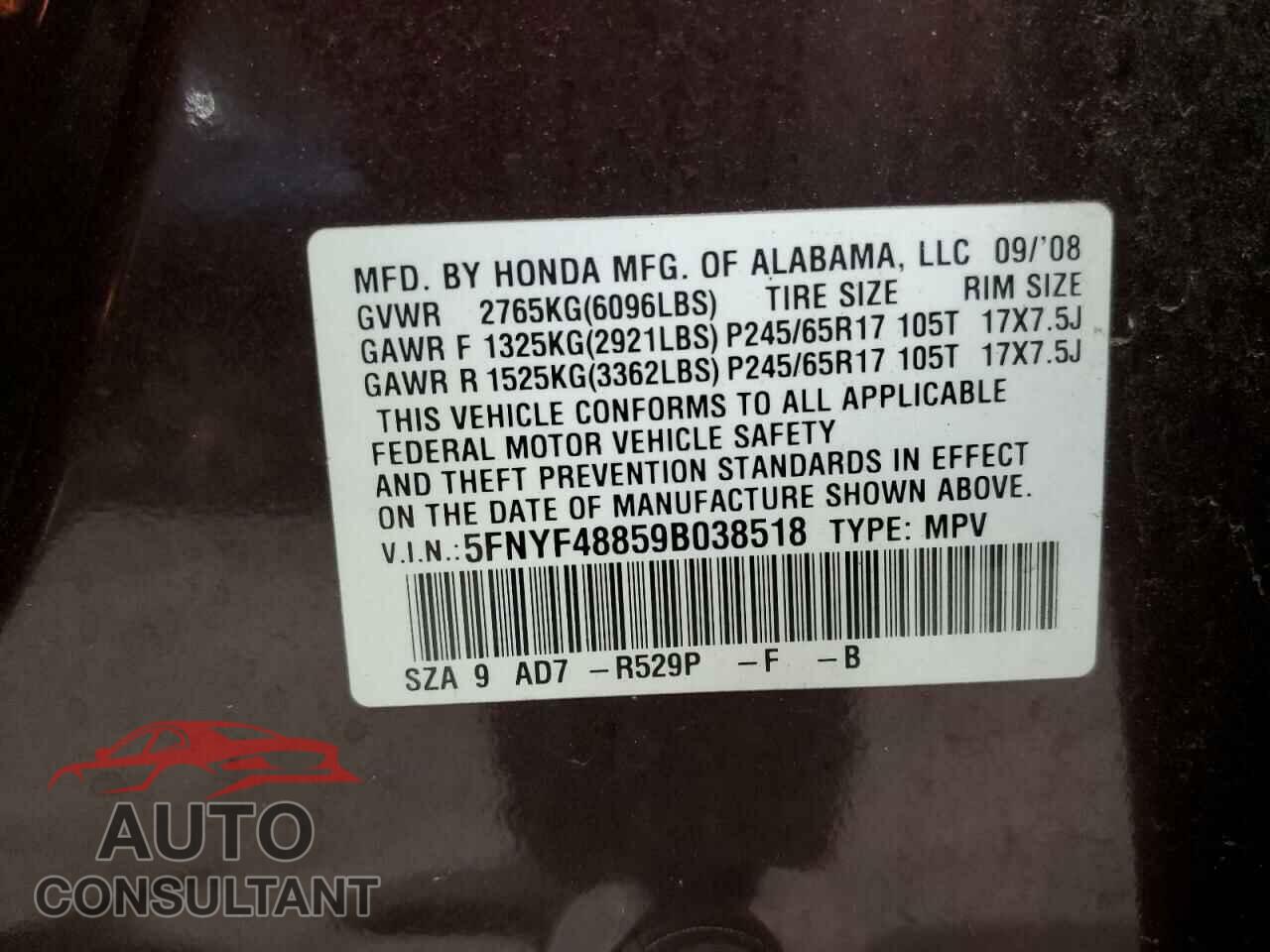 HONDA PILOT 2009 - 5FNYF48859B038518