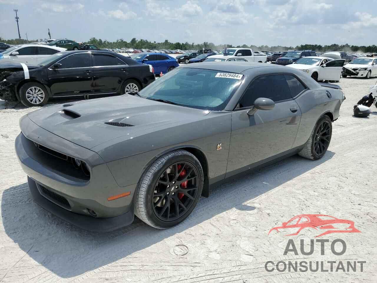 DODGE CHALLENGER 2019 - 2C3CDZFJ0KH509109