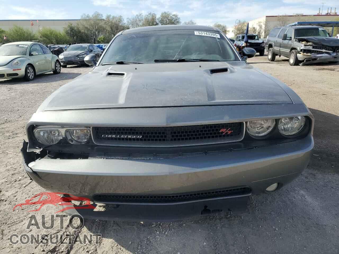 DODGE CHALLENGER 2012 - 2C3CDYBT2CH268592