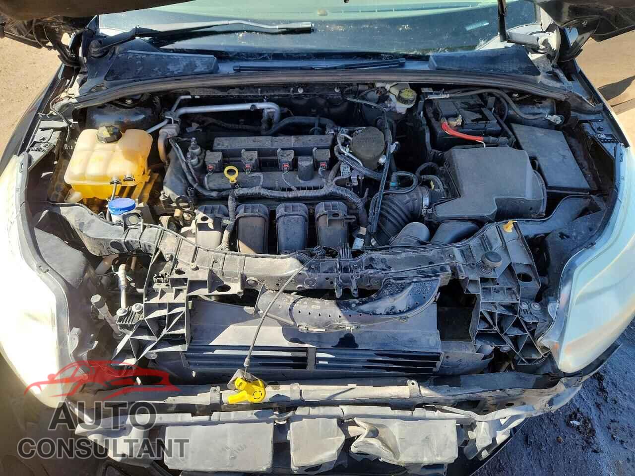 FORD FOCUS 2014 - 1FADP3F24EL431489