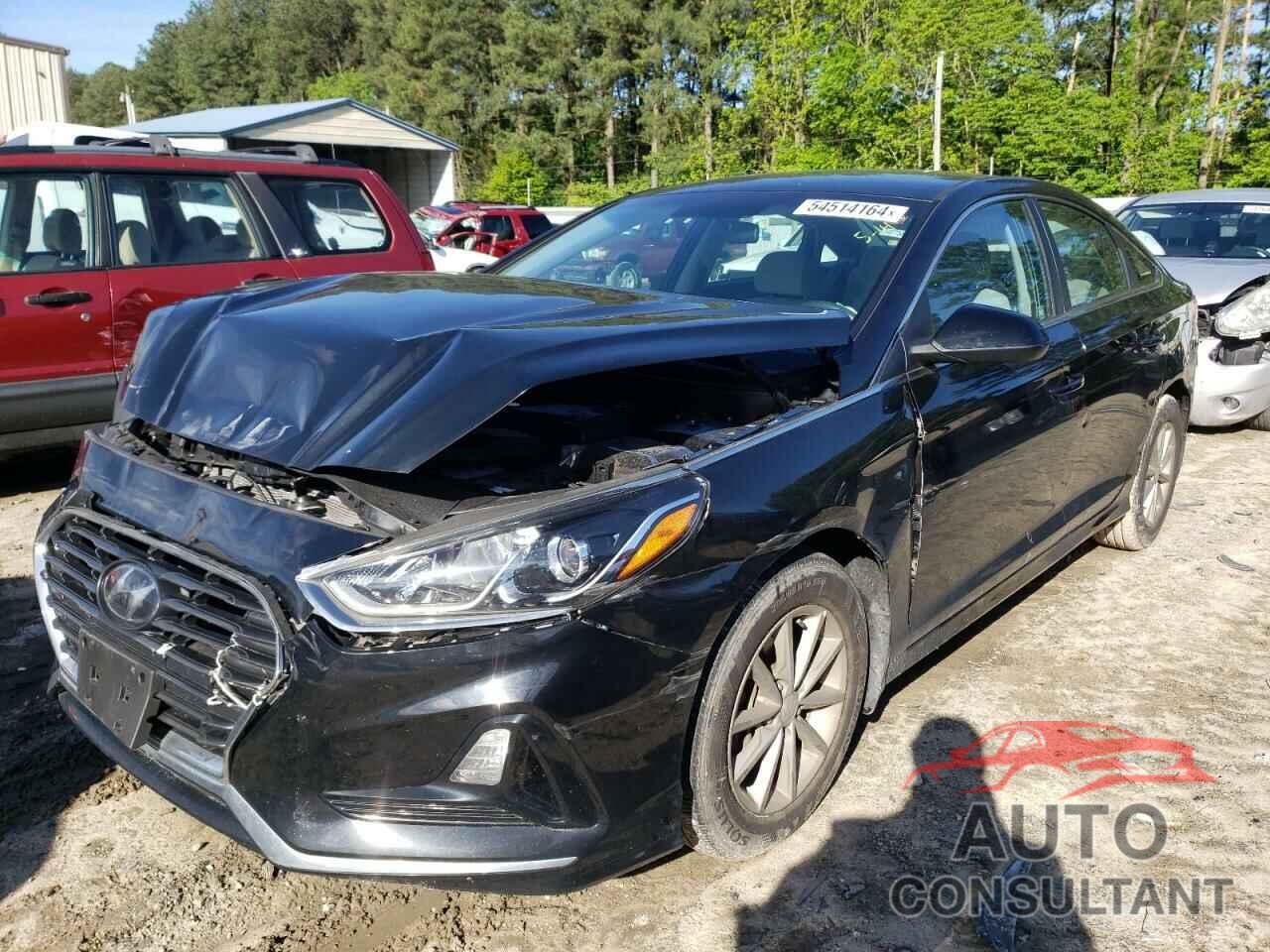 HYUNDAI SONATA 2019 - 5NPE24AF9KH804877