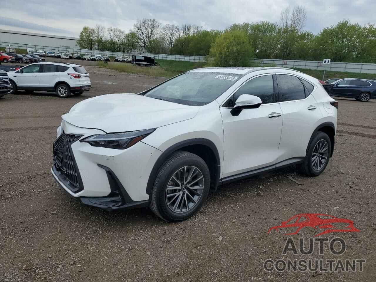 LEXUS NX 350 2023 - JTJAGCEZ3P5005454