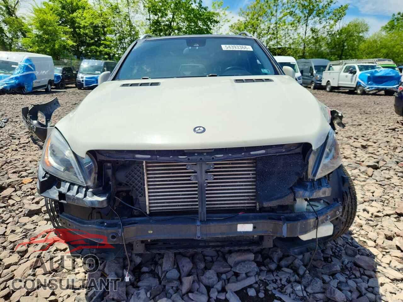 MERCEDES-BENZ M-CLASS 2013 - 4JGDA2EB3DA191493