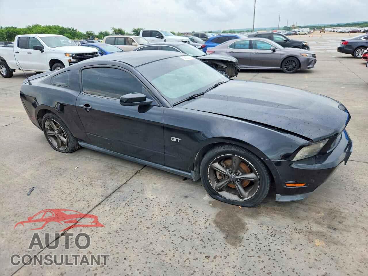 FORD MUSTANG 2010 - 1ZVBP8CH8A5141436