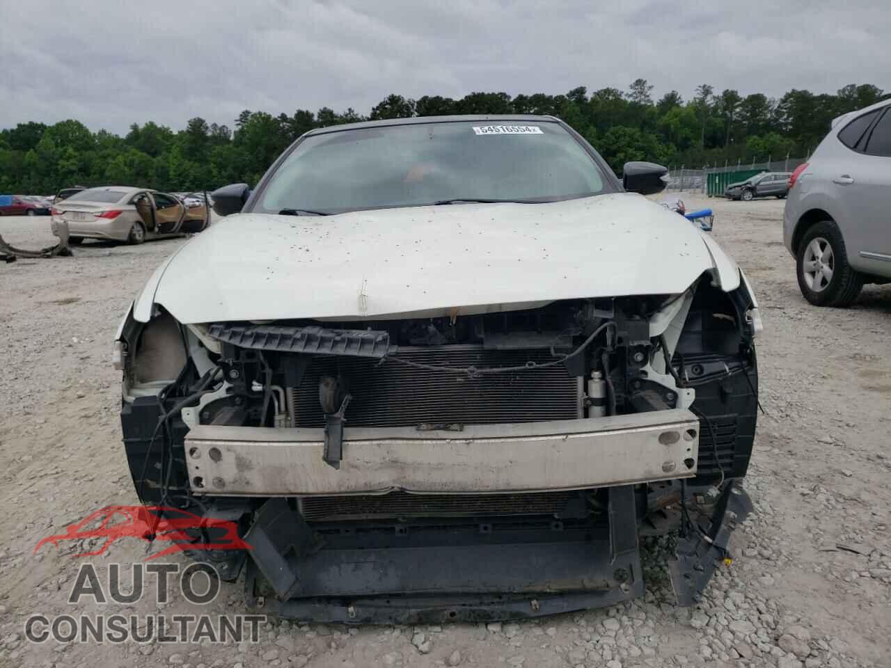 NISSAN MAXIMA 2017 - 1N4AA6AP9HC392475