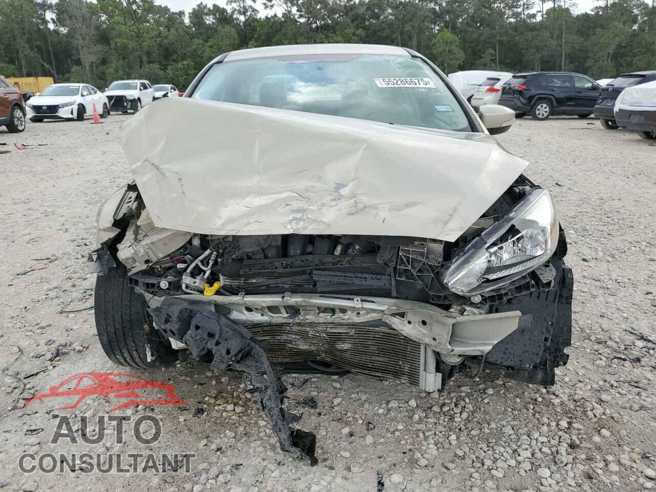 FORD FOCUS 2017 - 1FADP3F23HL318623