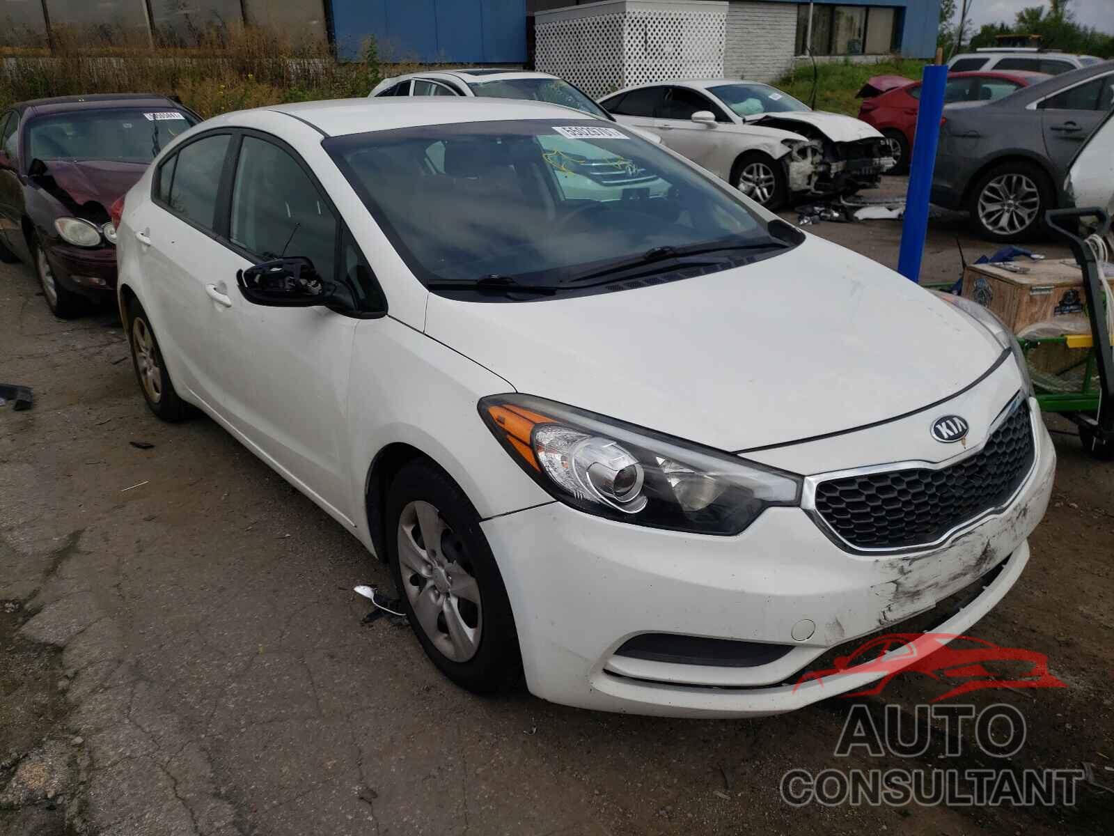 KIA FORTE 2016 - KNAFK4A66G5478299