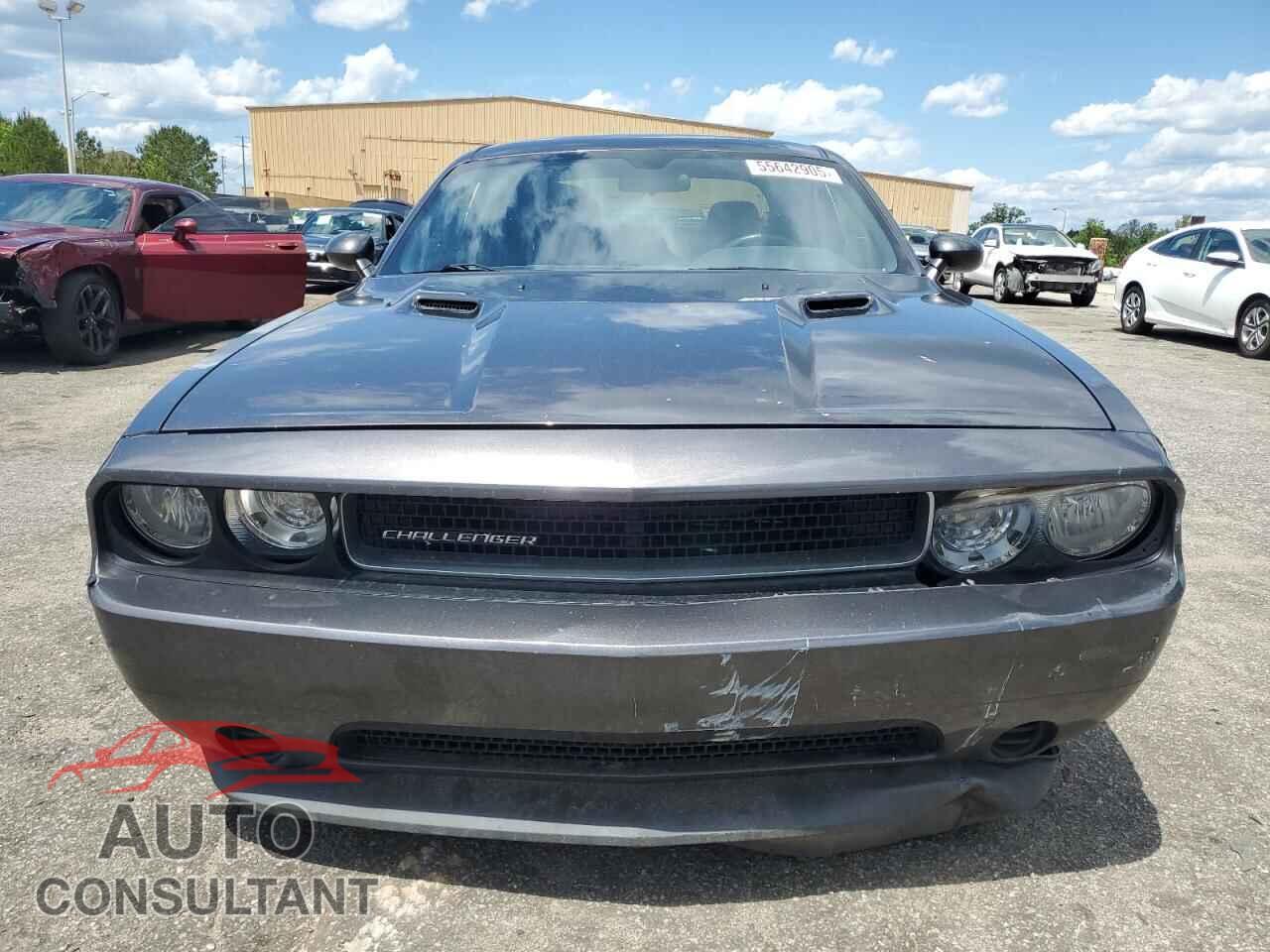 DODGE CHALLENGER 2013 - 2C3CDYAG3DH601047