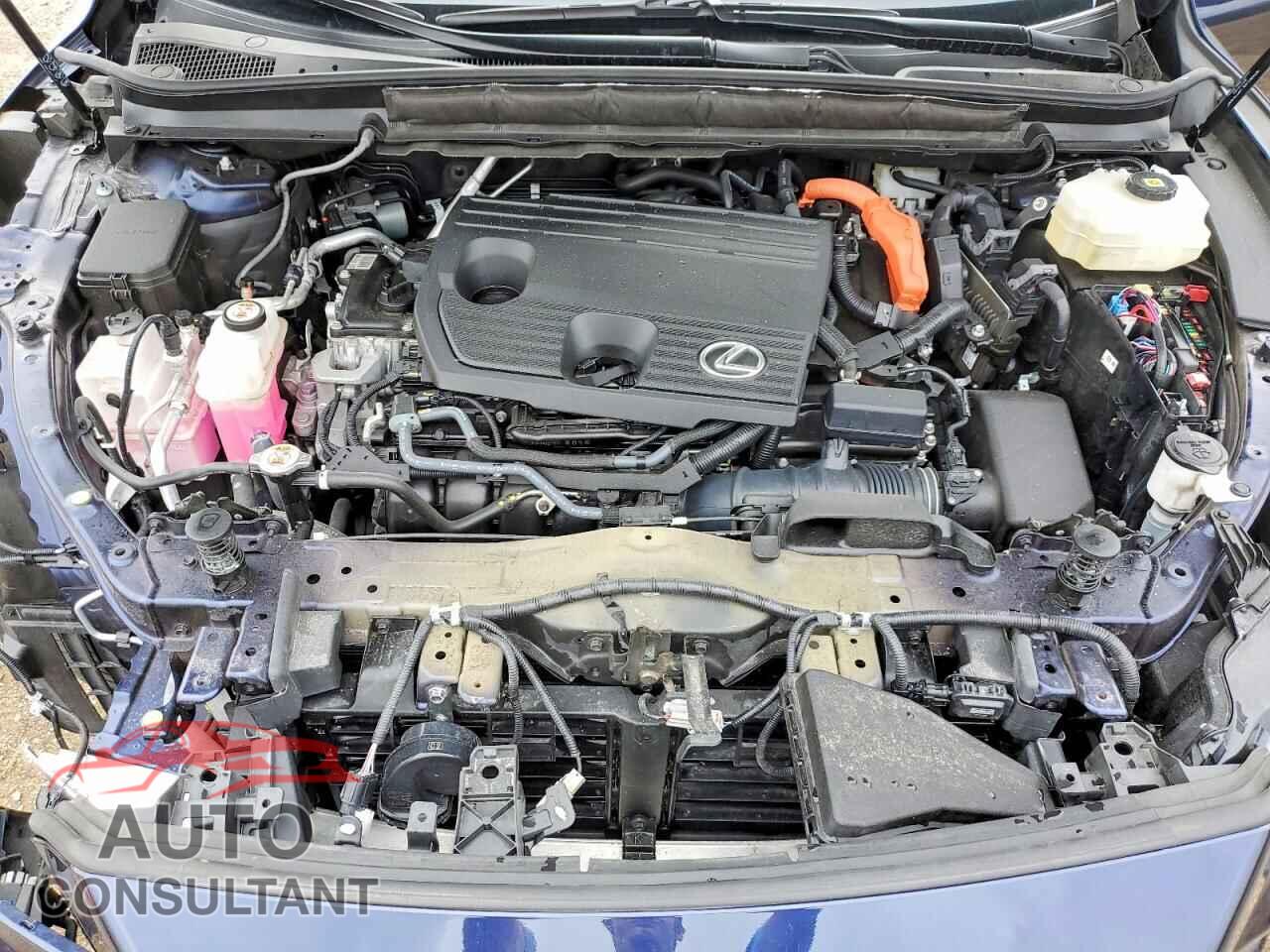 LEXUS UNKNOWN 2024 - 2T2BBMCA7RC036698