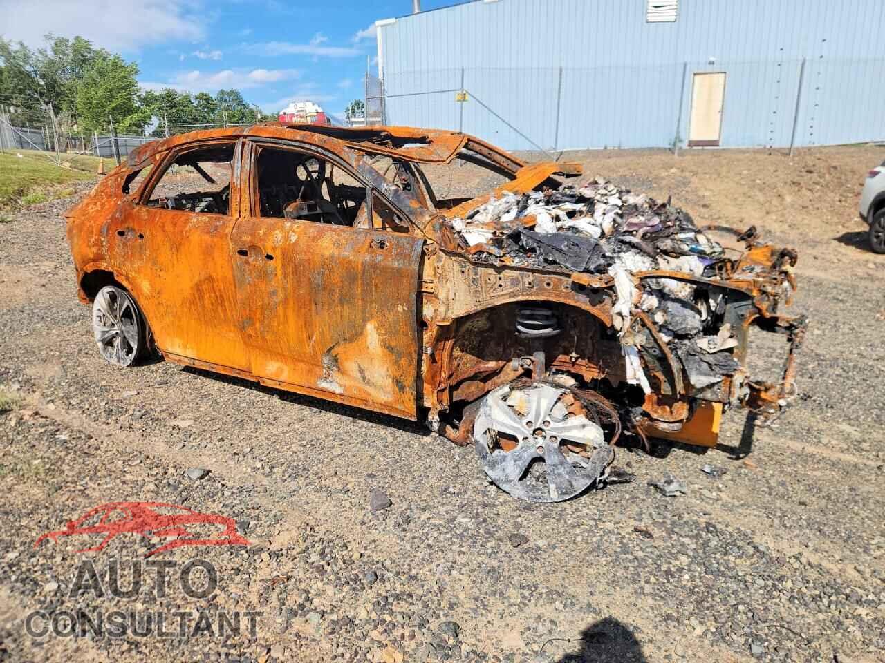 LEXUS RX300 2025 - 2T2BBMCA8SC097743