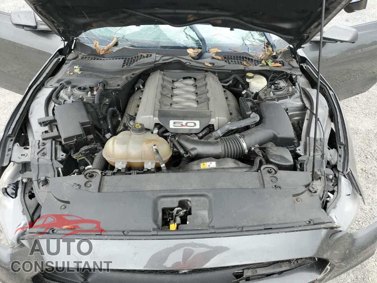 FORD MUSTANG 2015 - 1FA6P8CFXF5431869