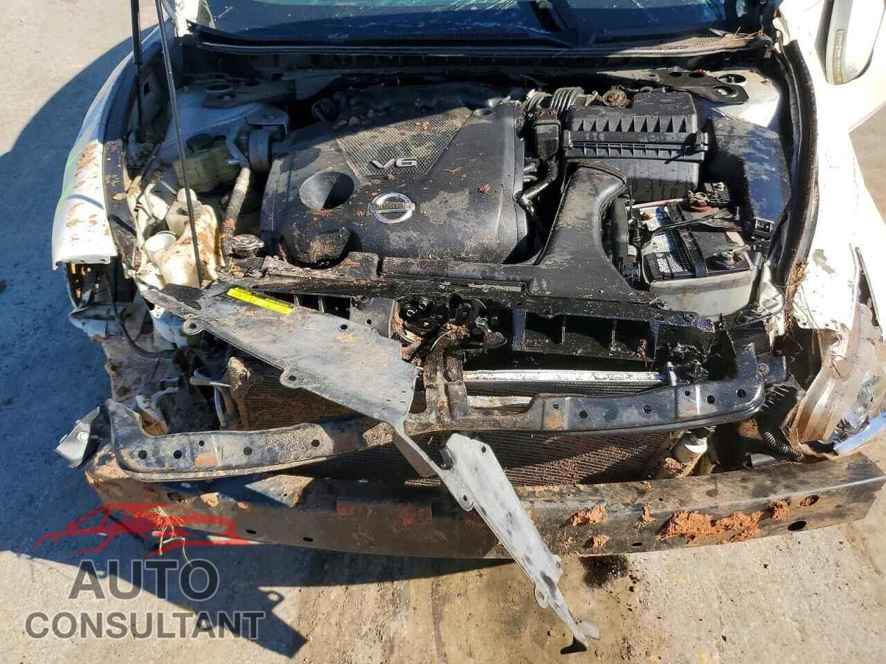 NISSAN MAXIMA 2013 - 1N4AA5AP7DC816496