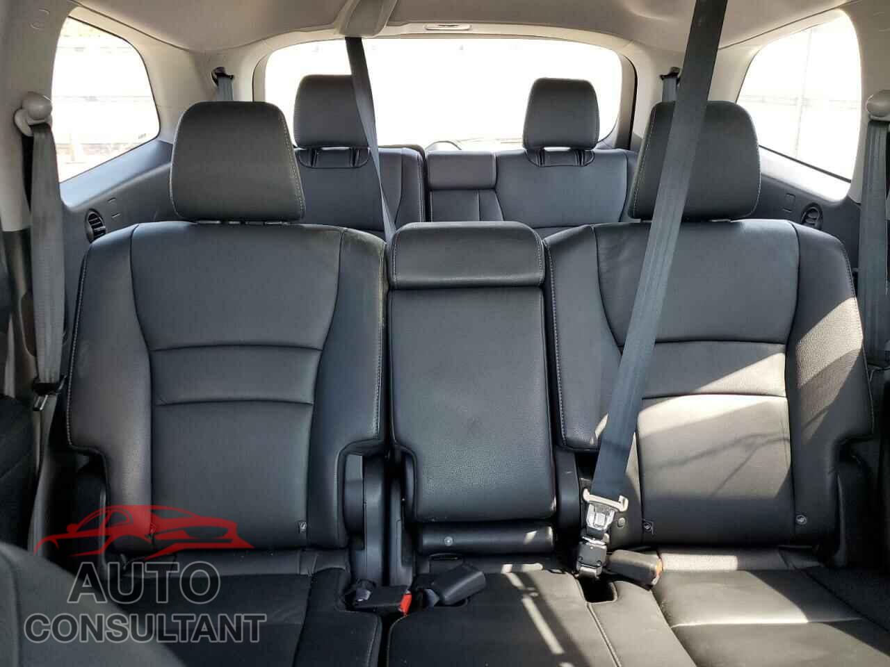 HONDA PILOT 2019 - 5FNYF6H5XKB084918