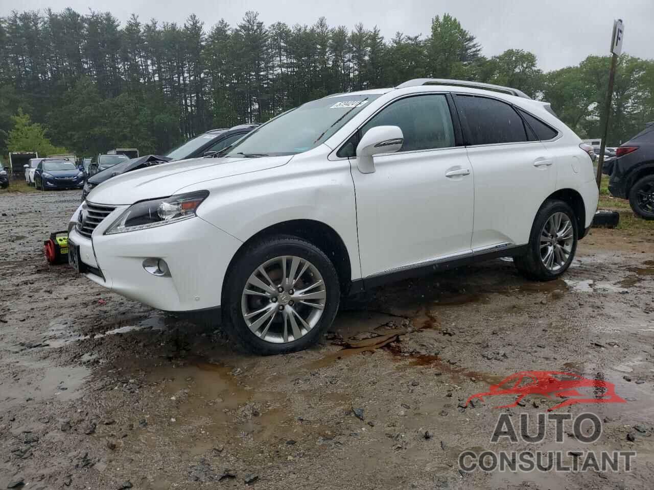 LEXUS RX450 2013 - JTJBC1BA3D2065251