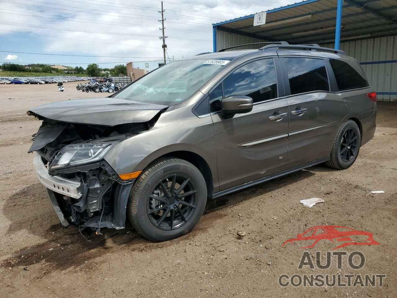 HONDA All Models 2019 - 5FNRL6H79KB074170
