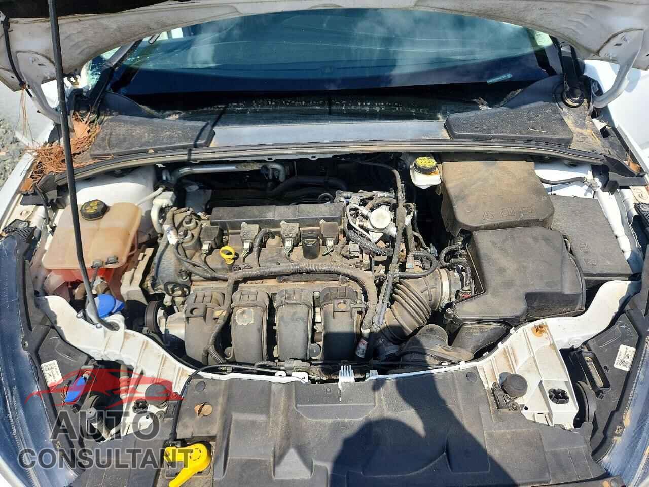 FORD FOCUS 2017 - 1FADP3H25HL327028